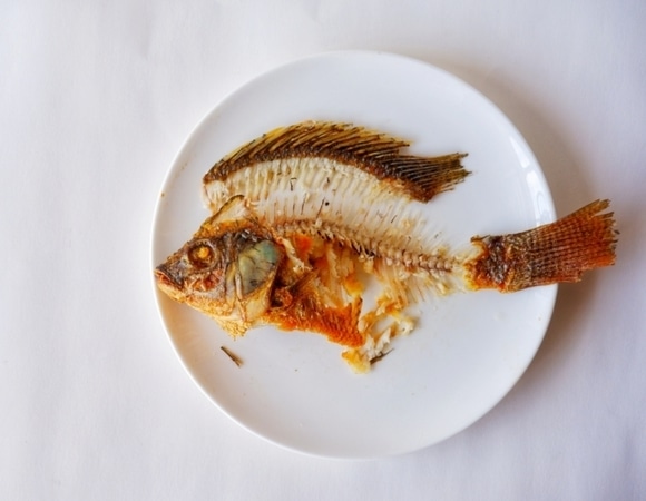 Врач предупредил, чего стоит опасаться, если кость застряла в горле Врач предупредил, чего стоит опасаться, если кость застряла в горле