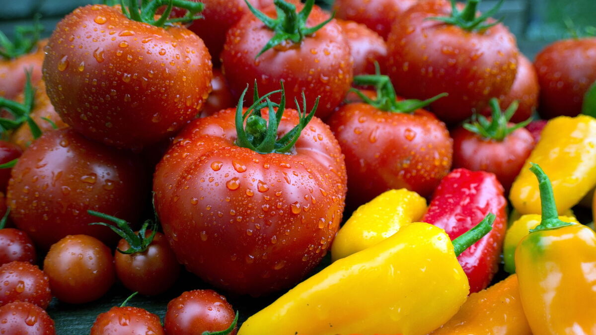 Специалисты перечислили овощи, которые помогут бросить курить