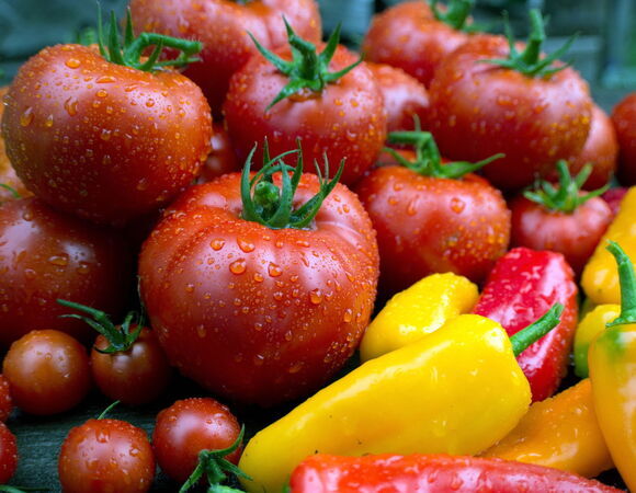 Специалисты перечислили овощи, которые помогут бросить курить