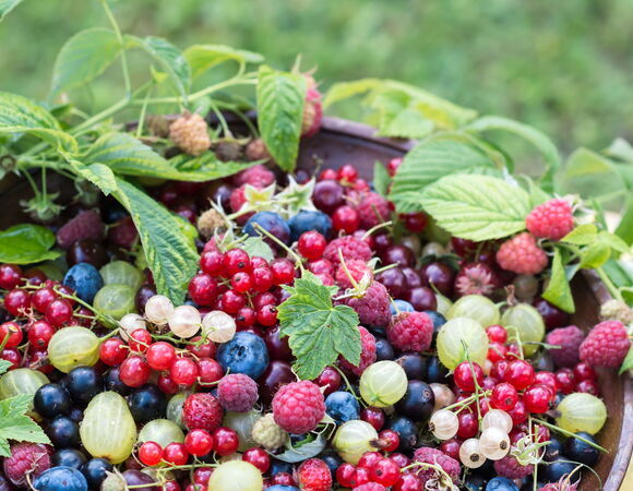 Эксперт рассказала, какие продукты стоит добавить в рацион летом Эксперт рассказала, какие продукты стоит добавить в рацион летом