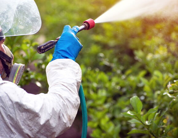 Токсиколог перечислил овощи и ягоды, которые могут быть опасны для человека