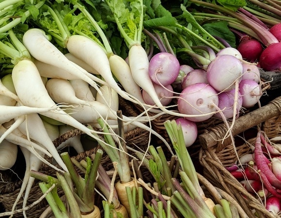 Овощное изобилие: чем отличаются друг от друга редис, редька и дайкон