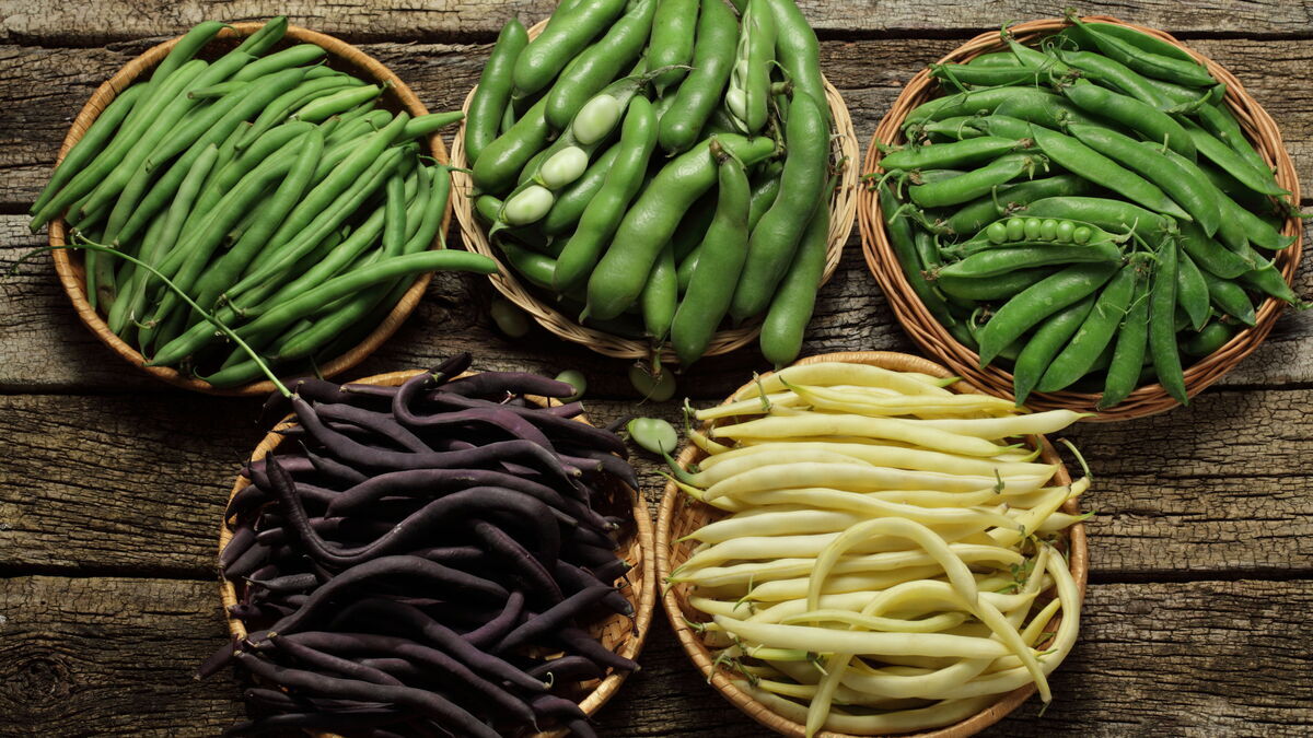 Диетолог рассказал о продукте, способном замедлить старение