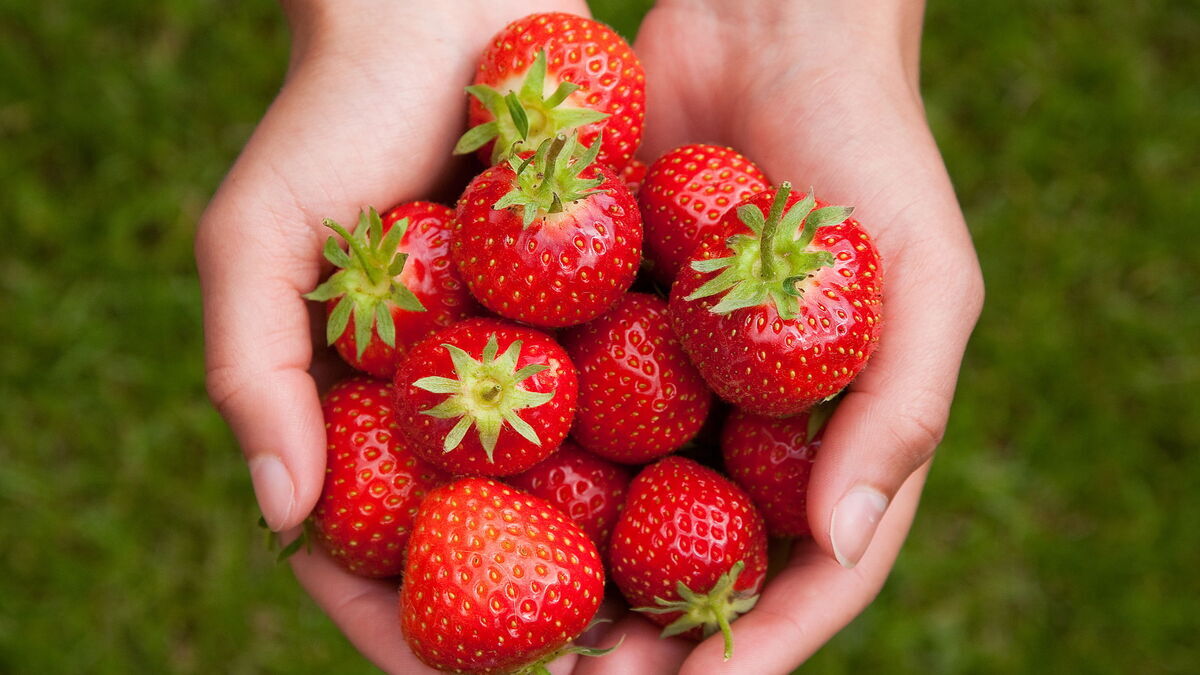 Спасет ли клубника от депрессии: мнение эксперта 