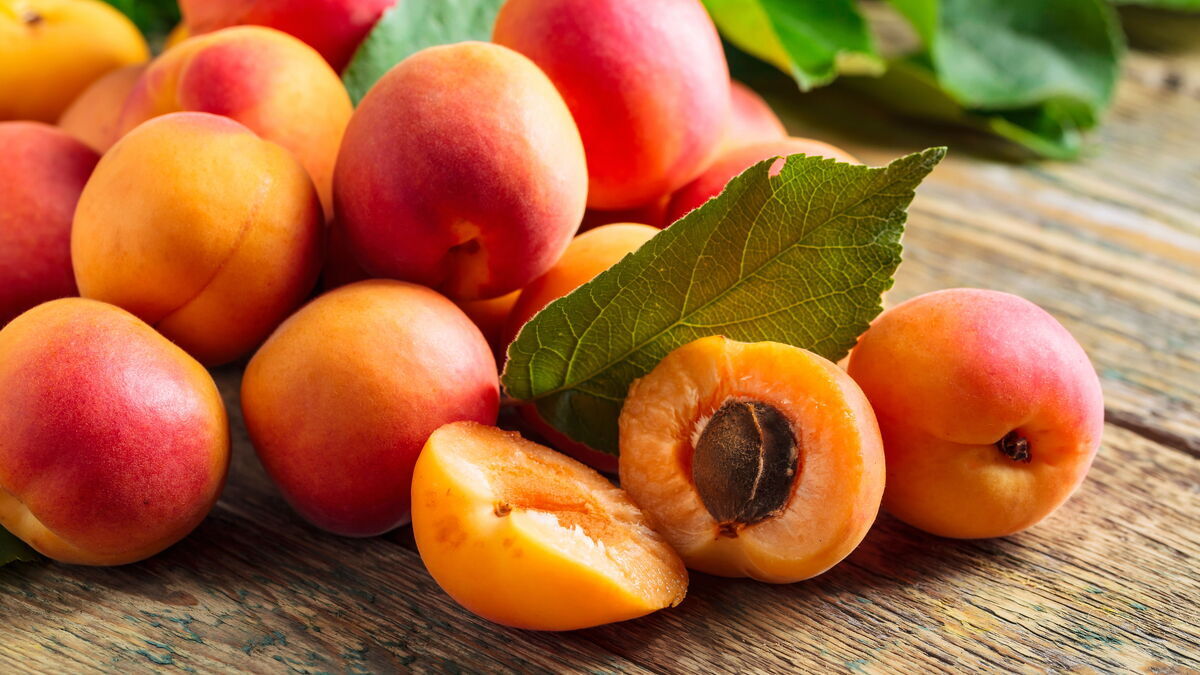 Диетолог рассказала о неочевидной опасности абрикосов Диетолог рассказала о неочевидной опасности абрикосов
