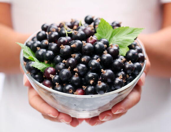 Обнаружена доступная замена ягодам годжи Обнаружена доступная замена ягодам годжи