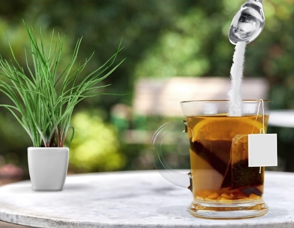 Специалист ответила, чем вредны сахарозаменители Специалист ответила, чем вредны сахарозаменители