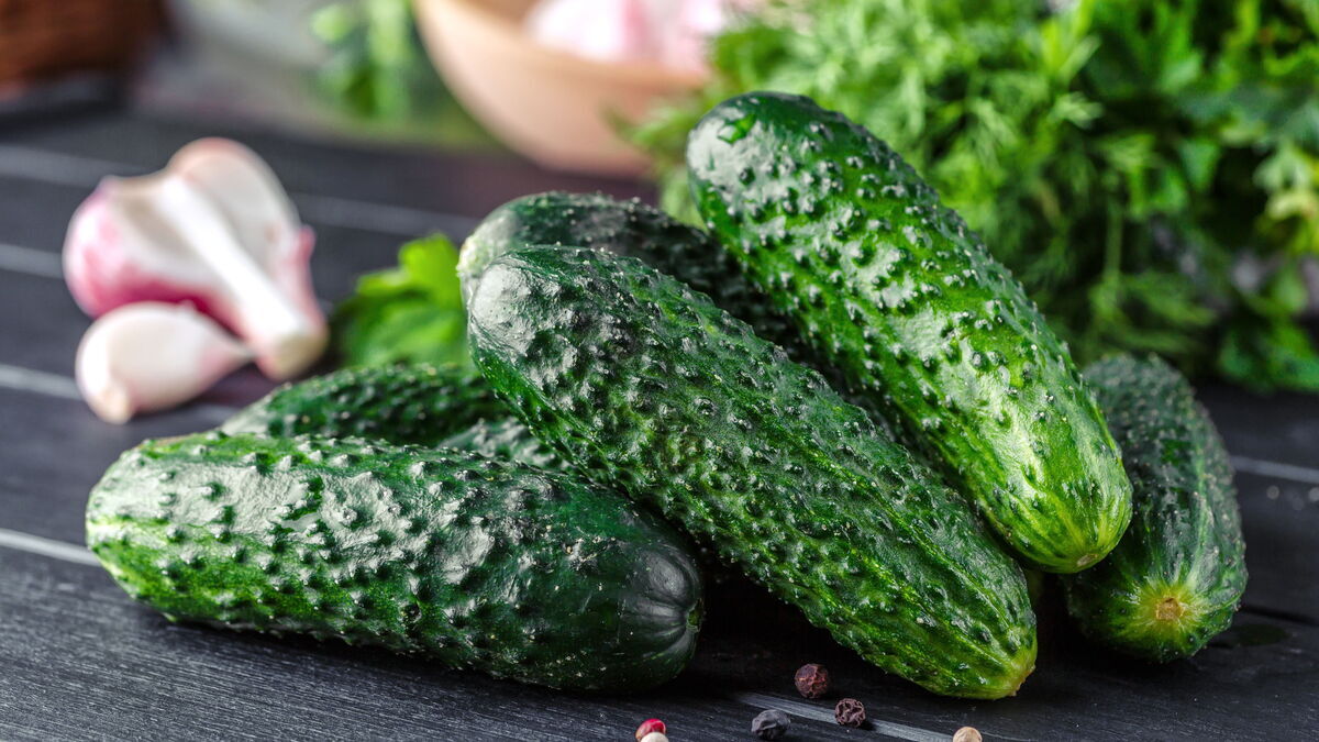 Что будет, если есть огурцы каждый день: ответила врач Что будет, если есть огурцы каждый день: ответила врач