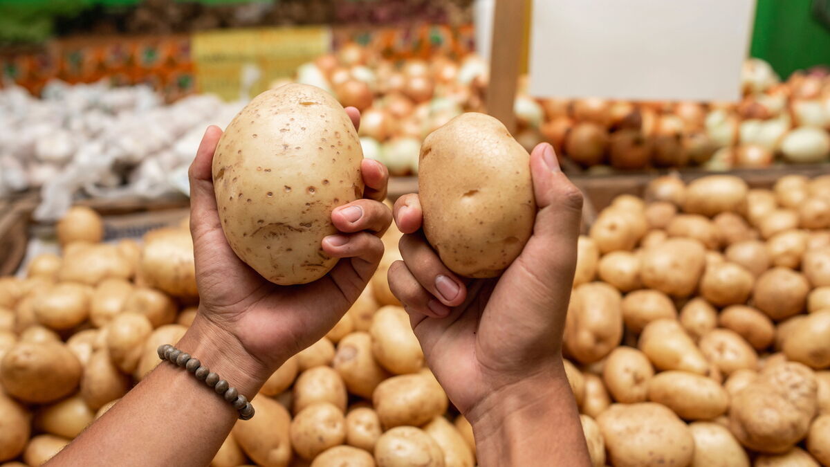 Как выбрать качественный молодой картофель: советы Роспотребнадзора