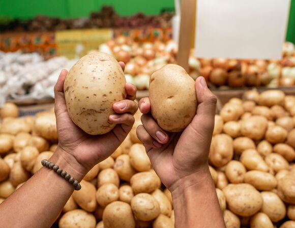 Как выбрать качественный молодой картофель: советы Роспотребнадзора