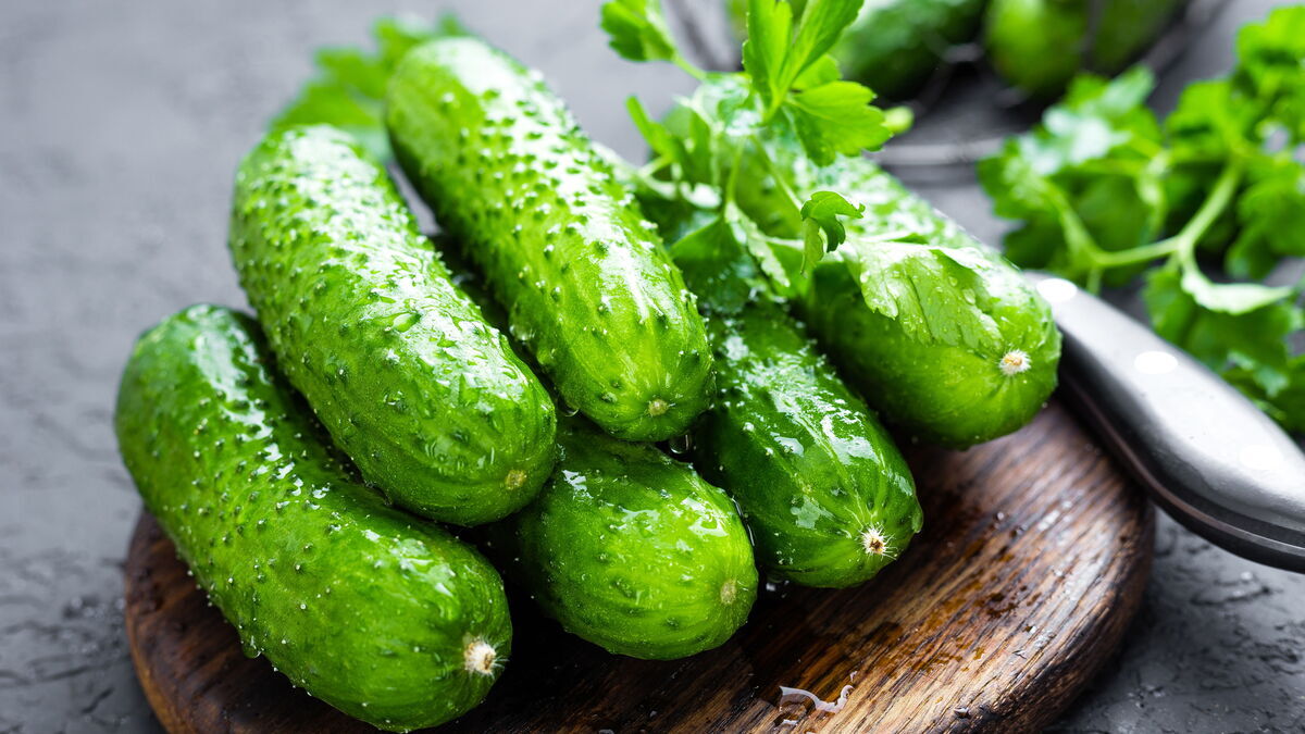 Врач рассказала, какие огурцы самые полезные
