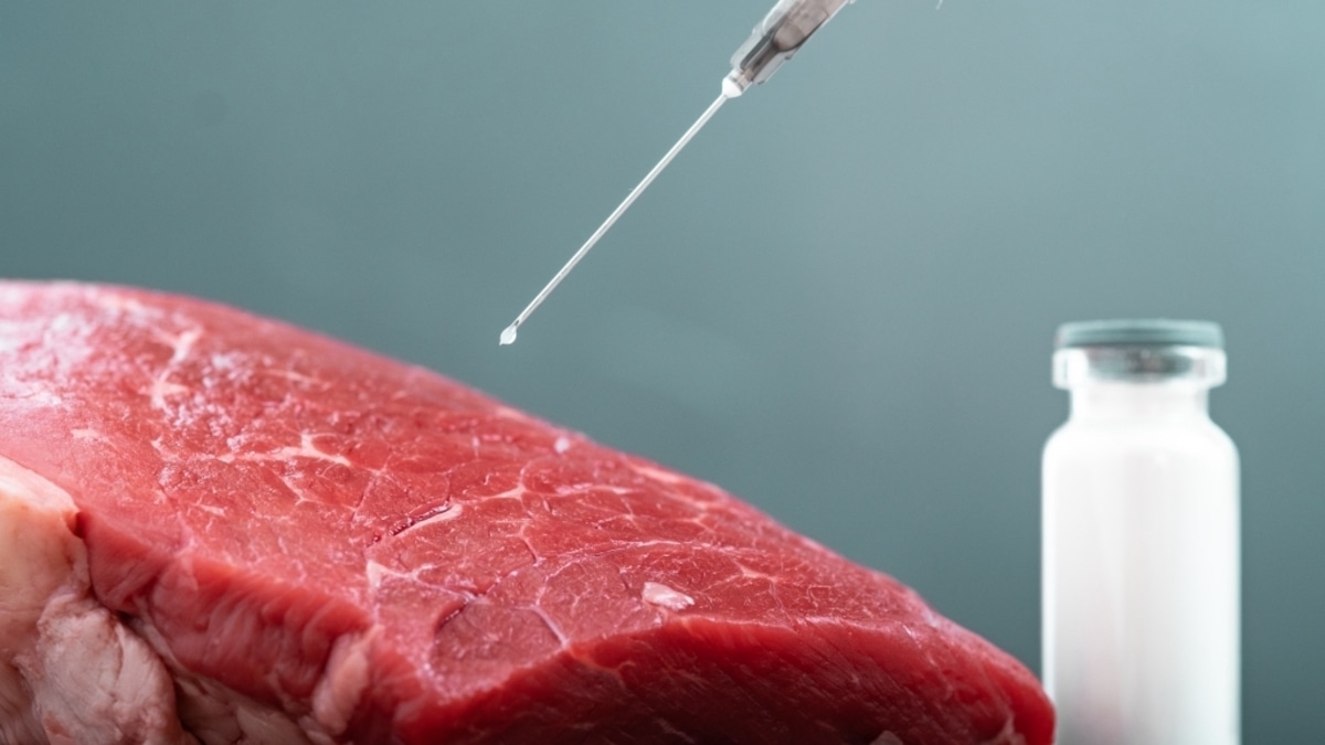 Создано мобильное приложение, проверяющее мясо на канцерогены