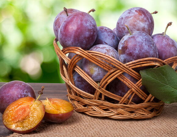 Стали известны неожиданные свойства слив