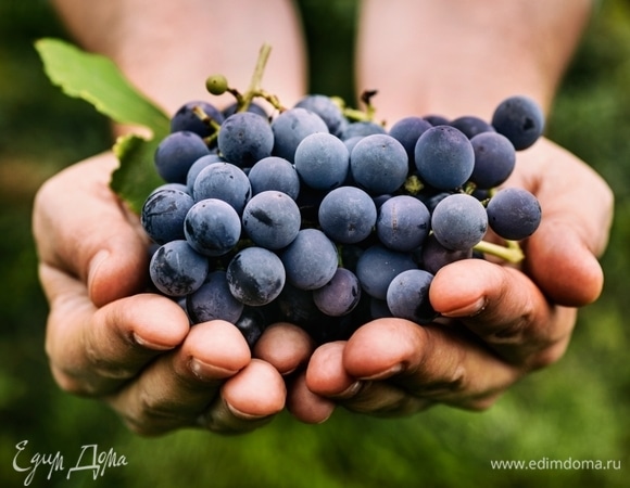 Две чашки винограда в день предотвратят ранее старение: исследование