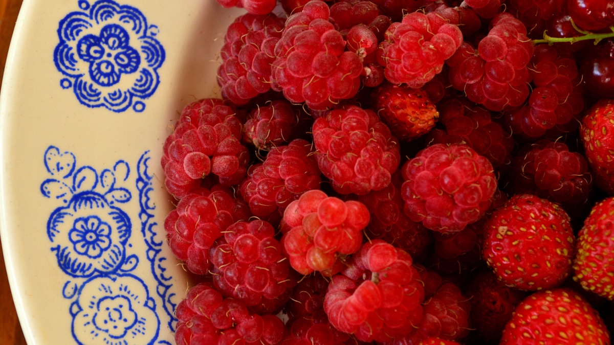 Жаркая пора: как отметить День малинового варенья?