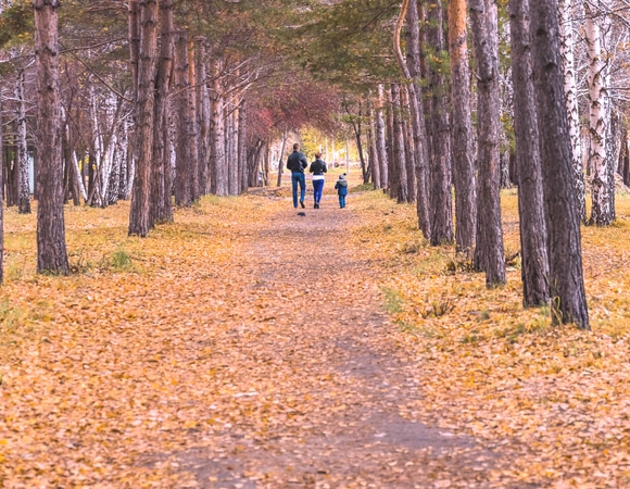 Ученые обнаружили простой способ снизить сахар в крови после еды