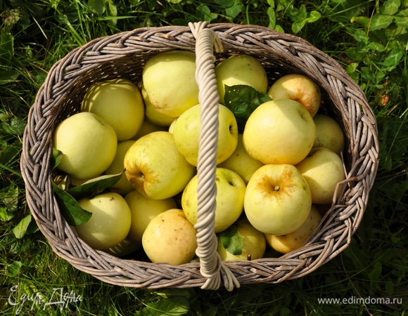 Диетолог рассказала, какие яблоки лучше всего помогают при похудении