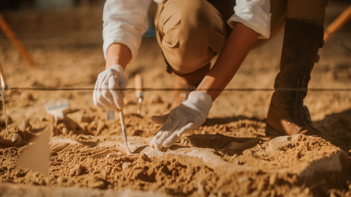 Археологи нашли самый «несчастливый кабак» времен императора Траяна