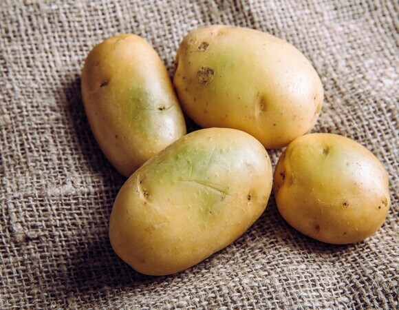 Можно ли есть картошку с зелеными пятнами: эксперт Можно ли есть картошку с зелеными пятнами: эксперт