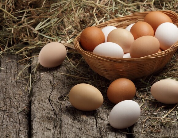 Нужно ли мыть куриные яйца перед отправкой в холодильник Нужно ли мыть куриные яйца перед отправкой в холодильник