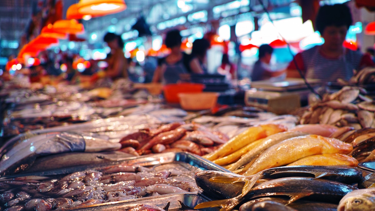 COVID-19 может передаваться через рыбу: Роспотребнадзор COVID-19 может передаваться через рыбу: Роспотребнадзор