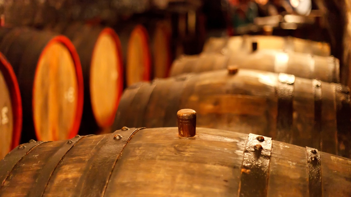 Оказалось, старейшему в мире вину почти 2000 лет: можно ли его пить?