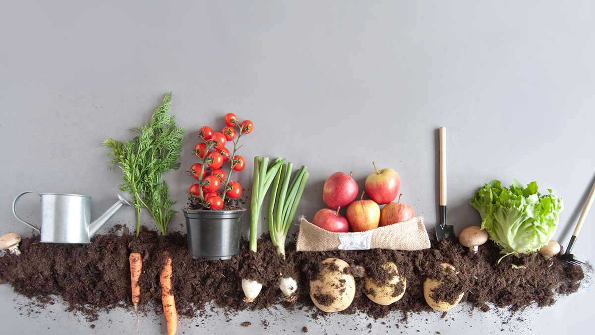 Фермерское, эко, органик: в чем разница?