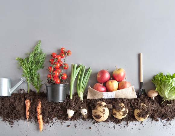 Фермерское, эко, органик: в чем разница?