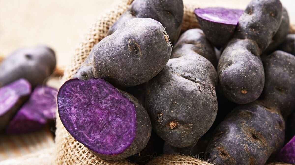 Что будет, если сделать пюре из «китайского трюфеля»