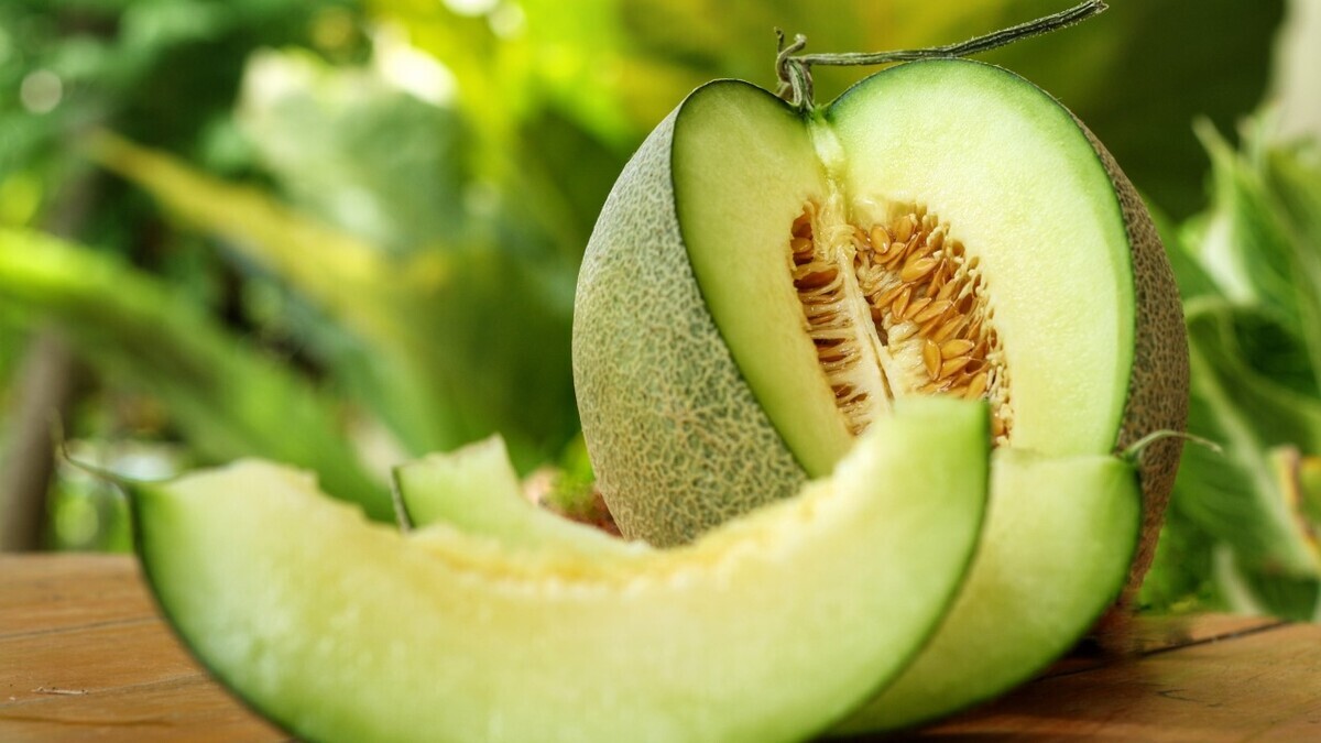 Шеф-повар поделился простыми лайфхаками по выбору дыни