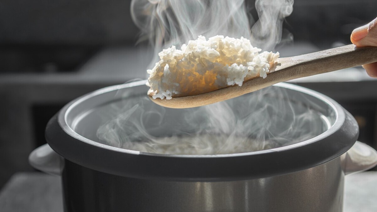 Холодильник для кимчи и кошерная «посудомойка»: необычные приборы для готовки