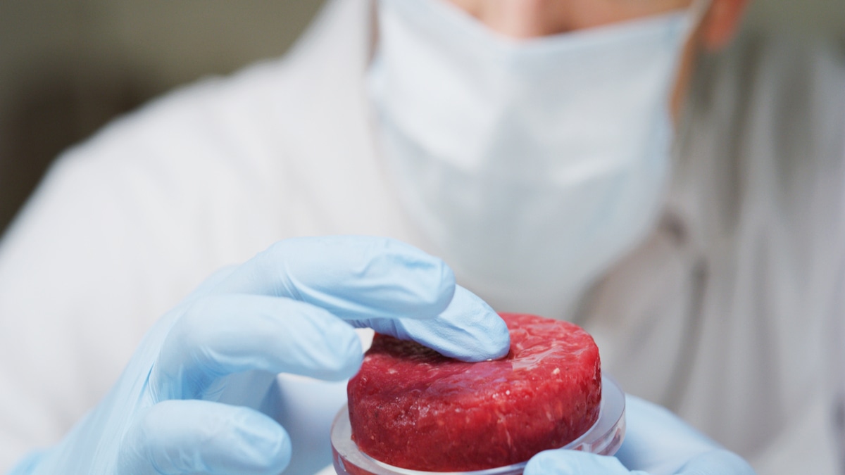 Не очень аппетитно: чем корейские ученые хотят накормить людей Не очень аппетитно: чем корейские ученые хотят накормить людей