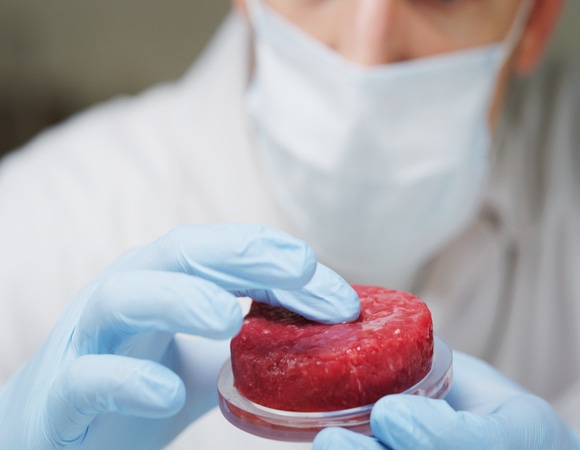 Не очень аппетитно: чем корейские ученые хотят накормить людей