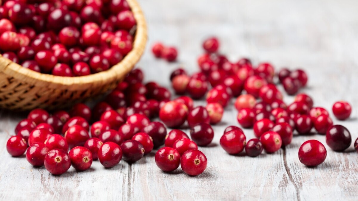 Нутрициолог рассекретила правильный рецепт витаминного морса из клюквы