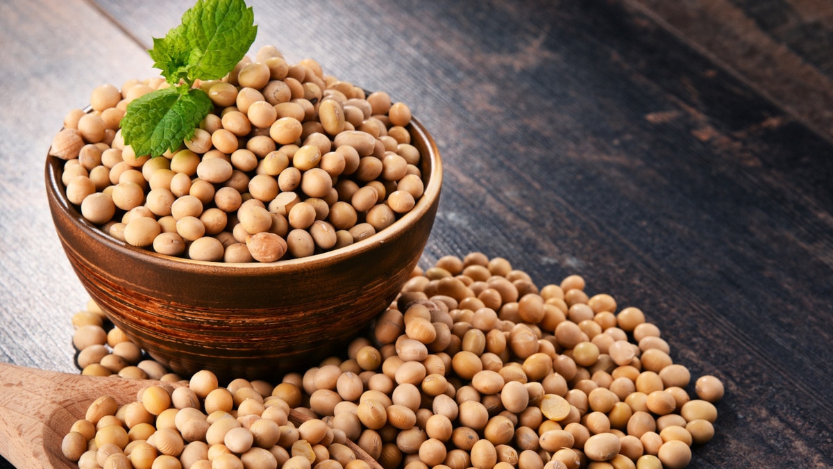 Как соя поможет укрепить здоровье: рассказывают врачи Как соя поможет укрепить здоровье: рассказывают врачи