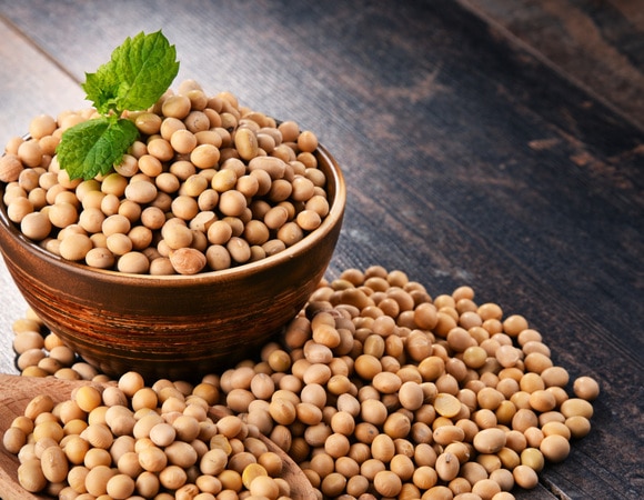 Как соя поможет укрепить здоровье: рассказывают врачи