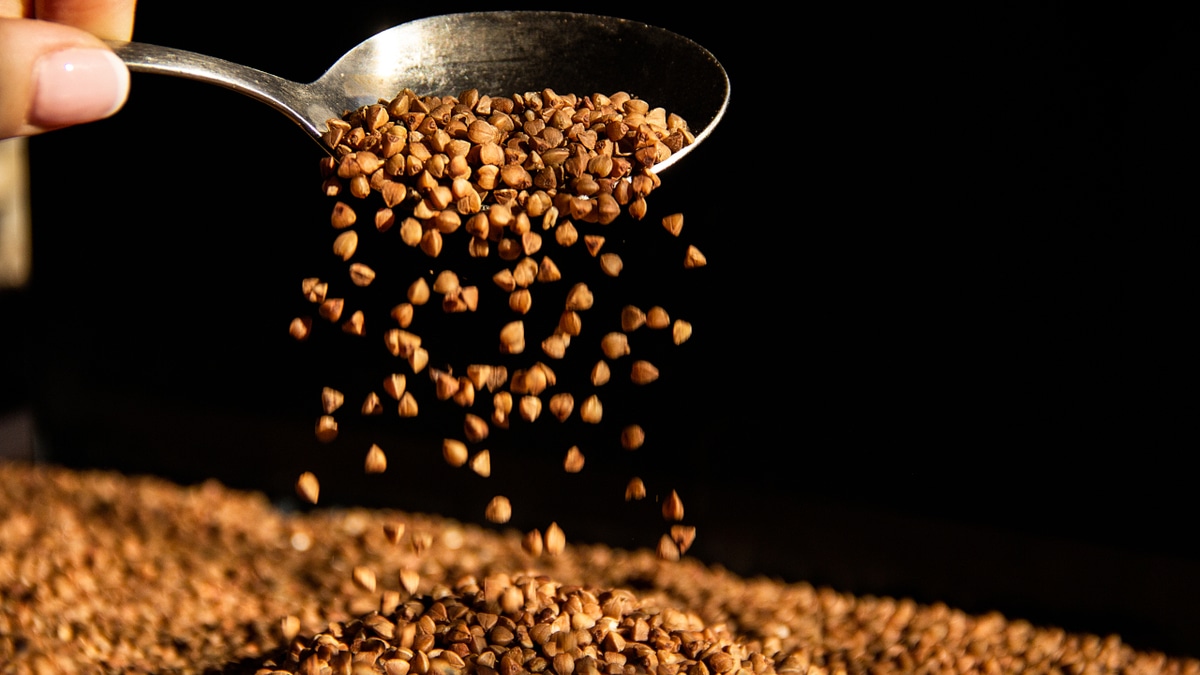 Продукты, заменяющие мясо: рекомендует Роспотребнадзор