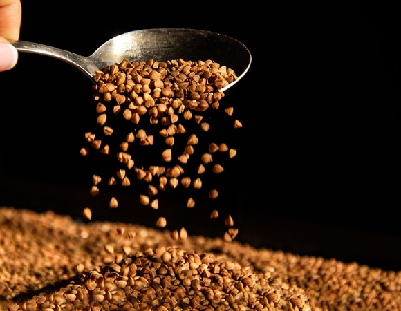 Продукты, заменяющие мясо: рекомендует Роспотребнадзор Продукты, заменяющие мясо: рекомендует Роспотребнадзор