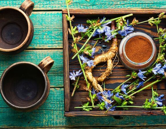 Из чего на самом деле делают растворимый цикорий Из чего на самом деле делают растворимый цикорий