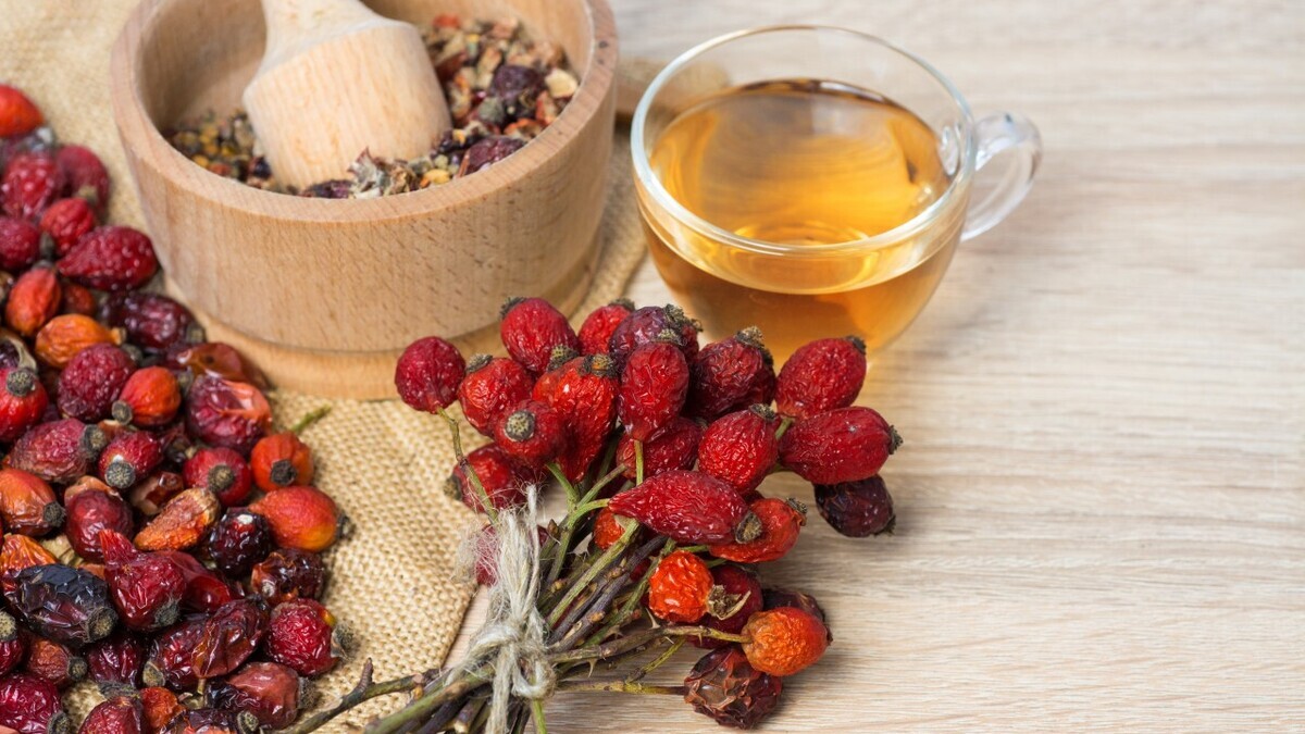 Секреты шиповника: врач о разнице между сиропом и порошком