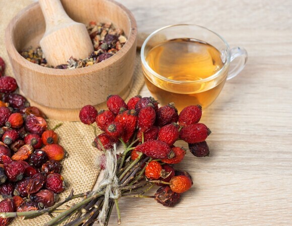 Секреты шиповника: врач о разнице между сиропом и порошком Секреты шиповника: врач о разнице между сиропом и порошком