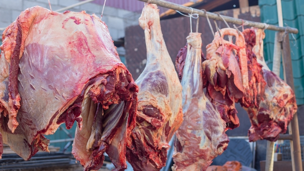  Как узнать, есть ли гормоны и антибиотики в мясе и рыбе