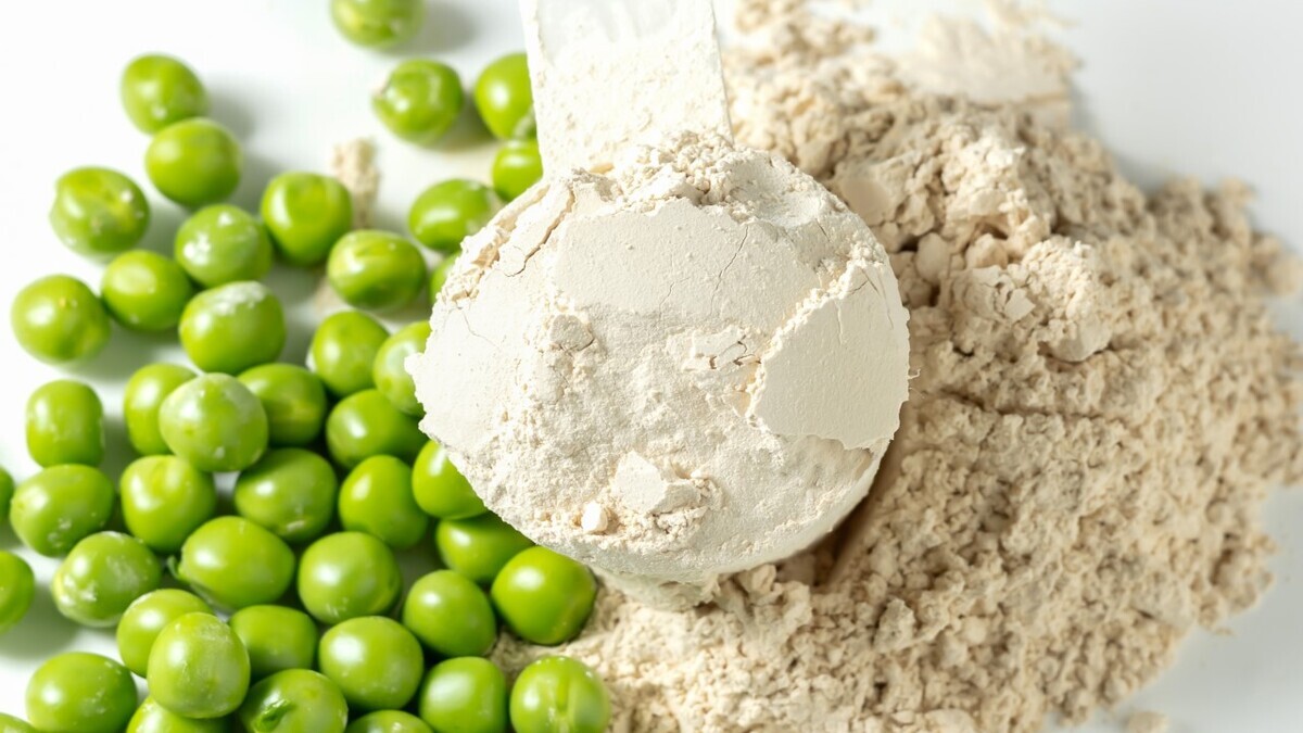 Белковое голодание: диетолог нашла доводы против гороховой муки Белковое голодание: диетолог нашла доводы против гороховой муки