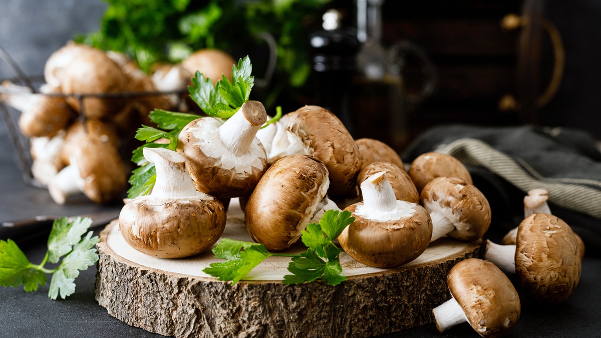 Грибы от ожирения: какие нужно есть при избыточном весе Грибы от ожирения: какие нужно есть при избыточном весе