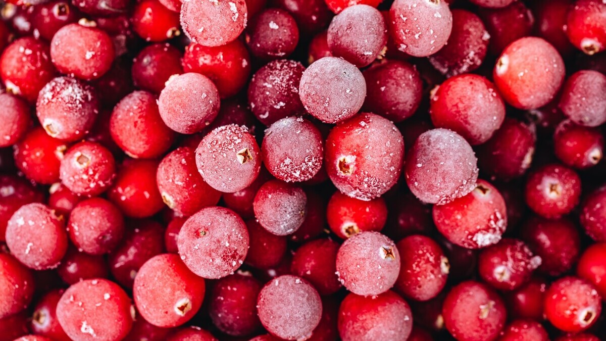 «Бывает, и в январе собирают»: когда отправляться за клюквой