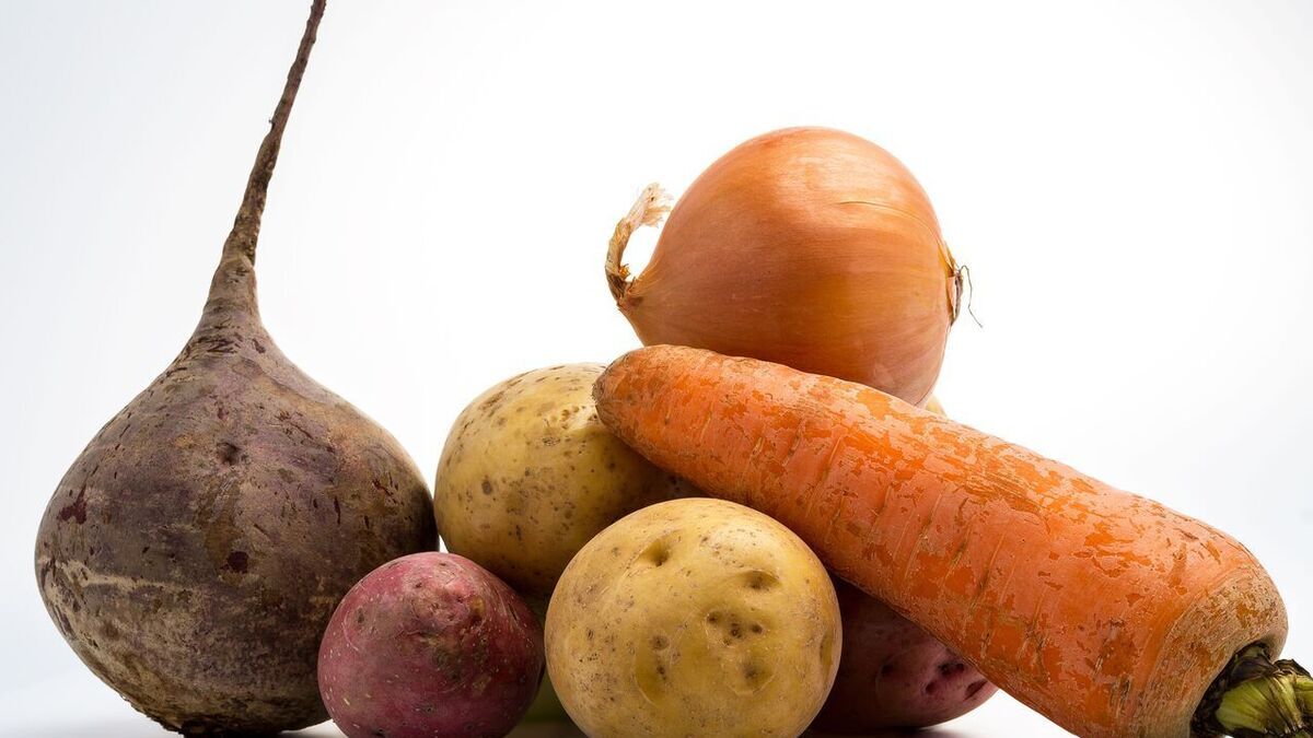 Что будет, если хранить лук вместе с картофелем Что будет, если хранить лук вместе с картофелем