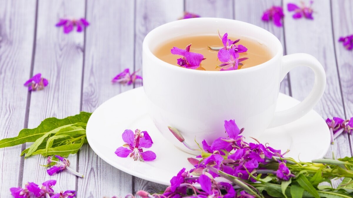 Что будет, если заменить кофе на иван-чай? Объяснит диетолог