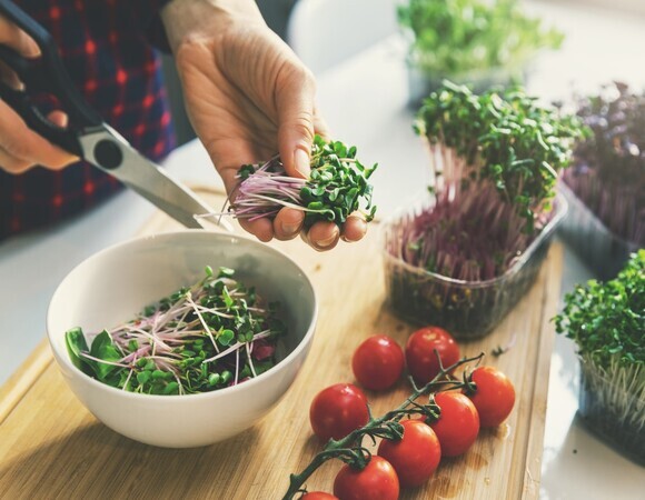 Одна чашка: диетолог рассказала о пользе микрозелени