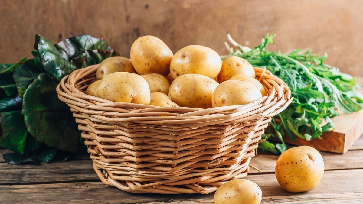 Аллергия и отравления: врачи рассказали об опасности обычной картошки