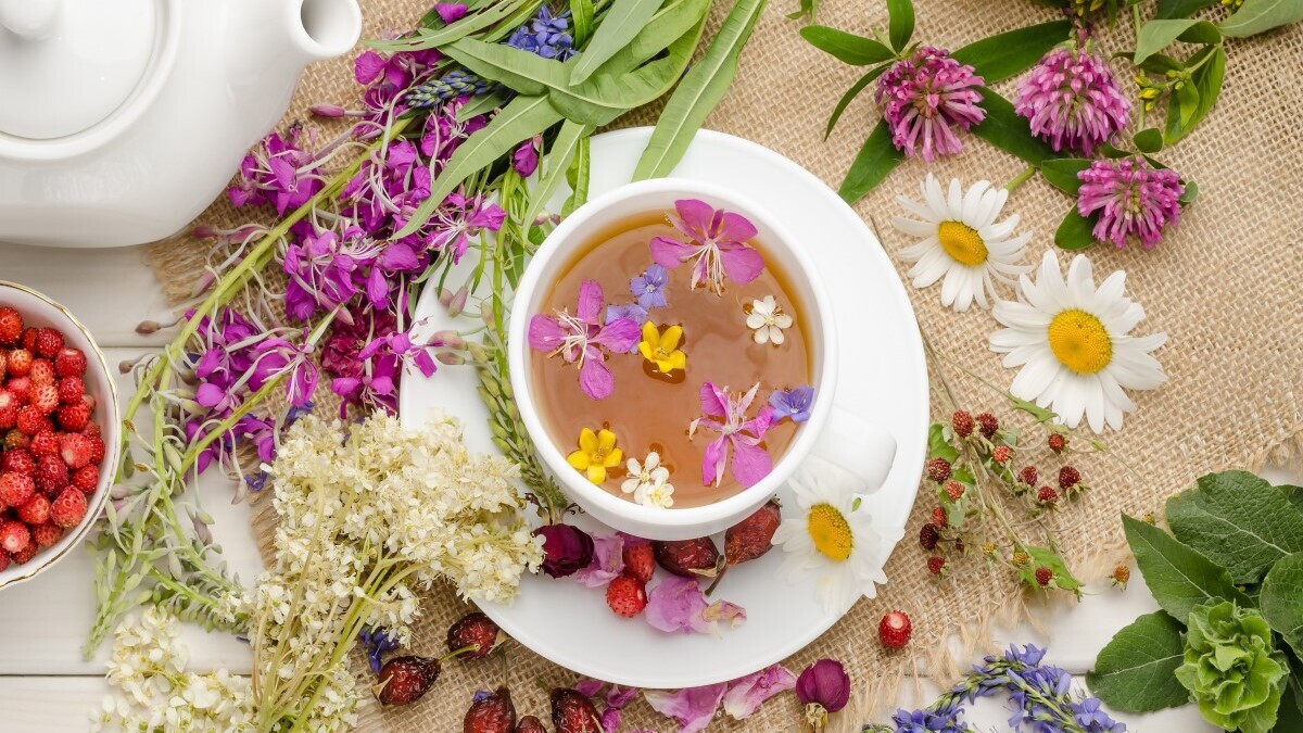 Фитотерапевт объяснил, почему эти травы нужно собирать осенью